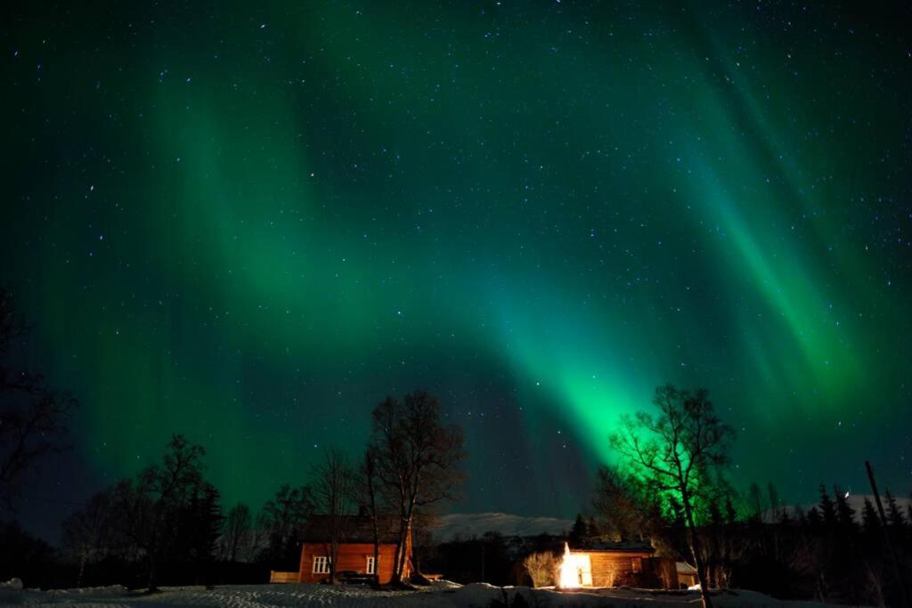 Vila 100 Years Old Norwegian Log House In Tromsø Exteriér fotografie