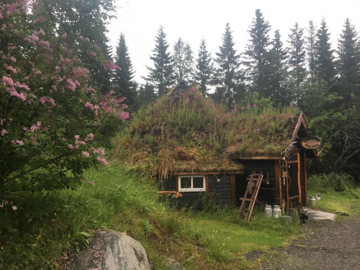 Vila 100 Years Old Norwegian Log House In Tromsø Exteriér fotografie