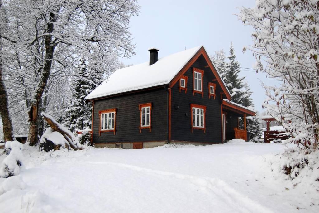 Vila 100 Years Old Norwegian Log House In Tromsø Exteriér fotografie